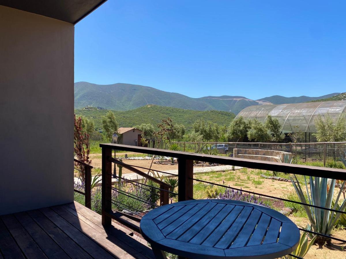 Coquenas Del Valle Valle de Guadalupe Exteriör bild