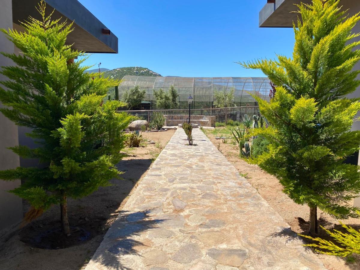 Coquenas Del Valle Valle de Guadalupe Exteriör bild